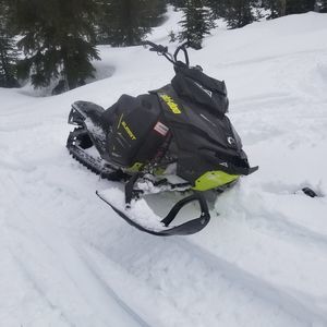 Meet your Posher, Darren